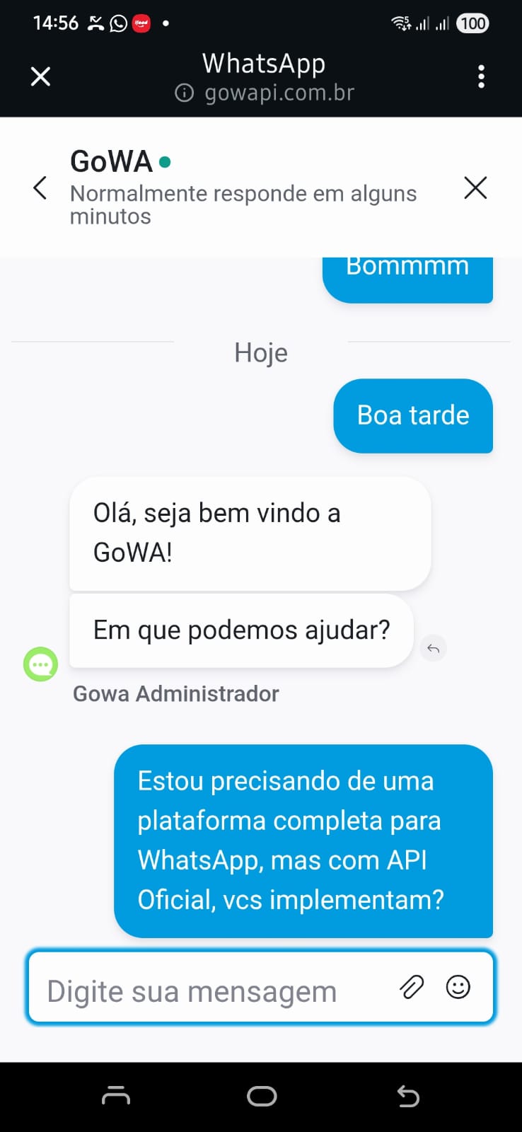 Exemplo do Web Chat integrado ao WhatsApp do cliente